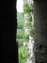 Into the world