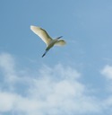 Off